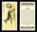 Lot 3140 Image