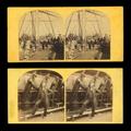 Lot 3188 Image
