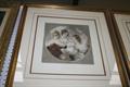 Lot 9 Image