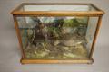 Lot 12 Image
