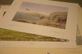 Lot 51 Image
