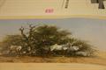 Lot 53 Image