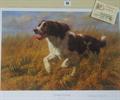 Lot 66 Image