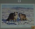 Lot 67 Image
