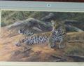 Lot 70 Image
