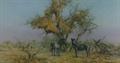 Lot 71 Image