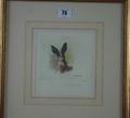 Lot 75 Image