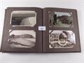 Lot 551 Image