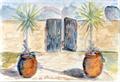 Lot 20 Image