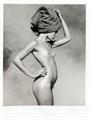 Lot 22 Image
