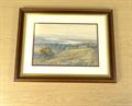 Lot 13 Image
