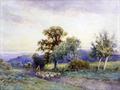 Lot 123 Image