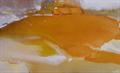 Lot 1010 Image