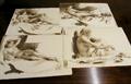 Lot 1063 Image