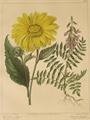 Lot 965 Image