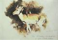 Lot 972 Image