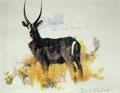 Lot 975 Image