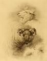 Lot 982 Image