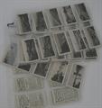Lot 24 Image