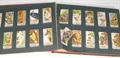 Lot 145 Image
