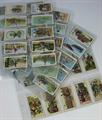 Lot 163 Image