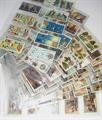 Lot 165 Image