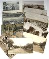 Lot 214 Image