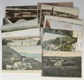 Lot 215 Image