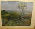 Lot 264 Image