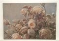 Lot 348 Image