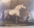 Lot 394 Image