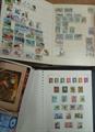 Lot 364 Image