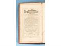 Lot 31 Image