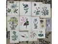 Lot 28 Image
