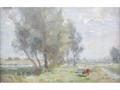 Lot 9 Image