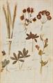 Lot 75 Image