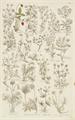 Lot 76 Image