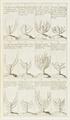 Lot 78 Image