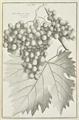 Lot 79 Image