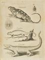 Lot 88 Image