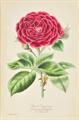Lot 89 Image