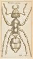 Lot 90 Image