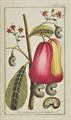 Lot 96 Image