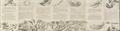 Lot 177 Image