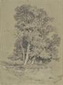Lot 140 Image