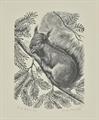 Lot 238 Image