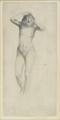 Lot 242 Image