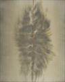 Lot 419 Image