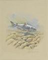 Lot 70 Image