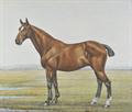 Lot 75 Image